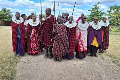Mikumi – Tanzania’s Best-Kept Safari Secret"