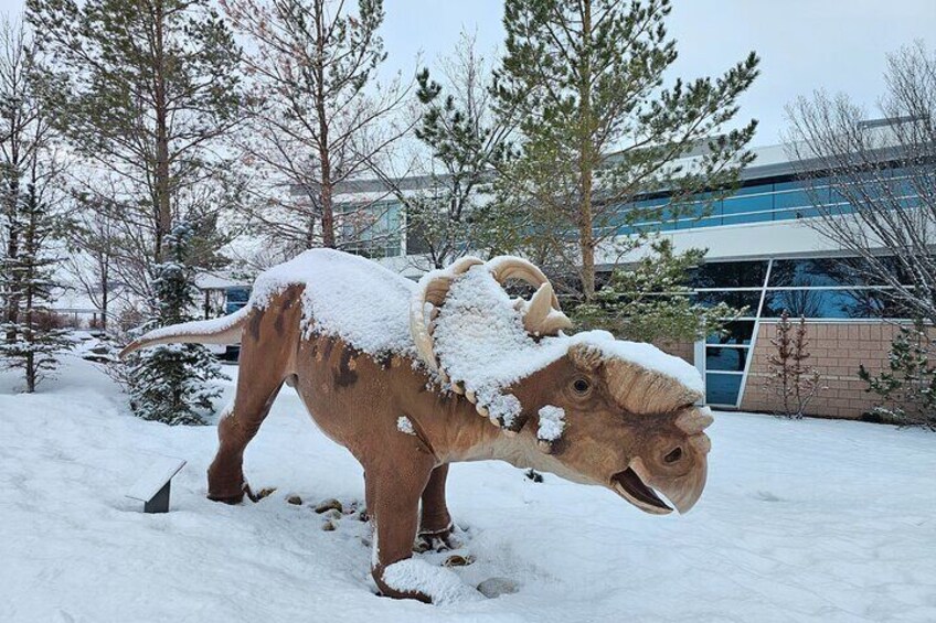 From Calgary: Drumheller Badlands Private Tour (Small Group)