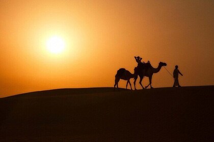 Dune Bashing & Bike Ride with Dinner at Bab Al Shams Resort