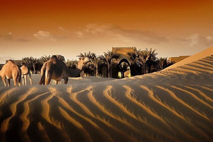 Dubai Desert Safari Tour by 4WD and Bike at Bab Al Shams Resort