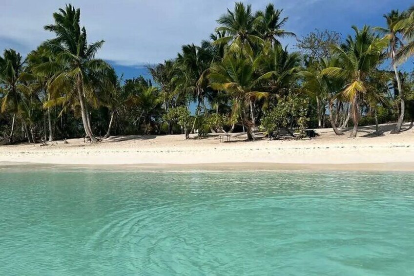 Full day Caribbean Saona Island Tour