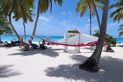 Full day Caribbean Saona Island Tour