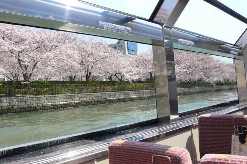 Osaka Aqua Liner in Spring