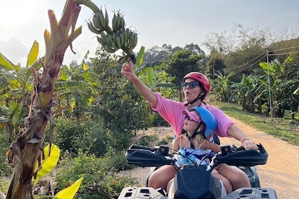 2 Hour ATV Jungle Tour In Koh Samui