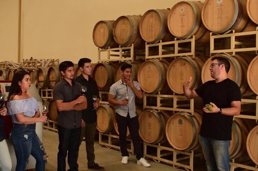 Boutique Wine Trail: Discover Wineries of Valle de Guadalupe