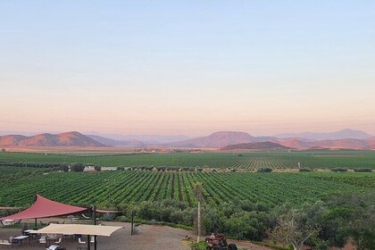 Valle de Guadalupe Your Way