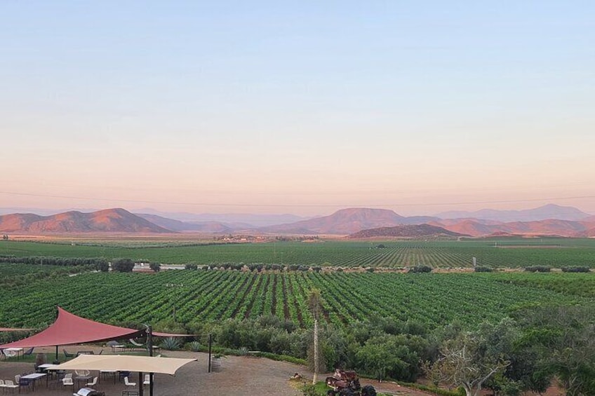 Valle de Guadalupe Your Way