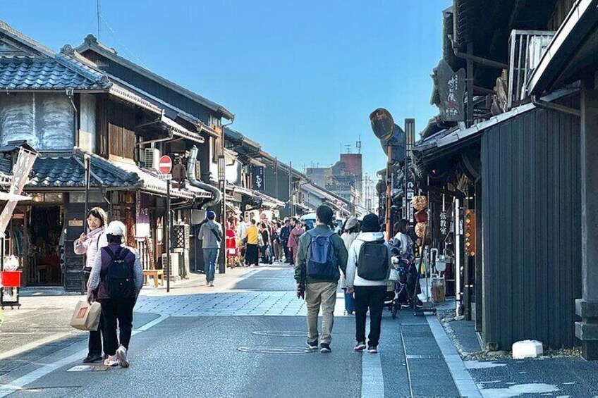 Private Inuyama Tour of National Treasure Castle and Tea Room