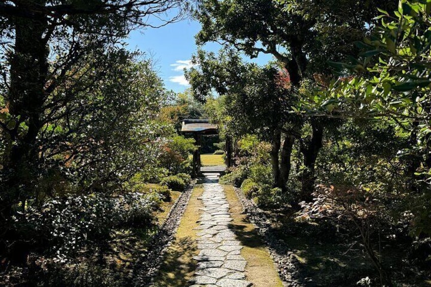 Private Inuyama Tour of National Treasure Castle and Tea Room