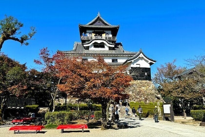 Nagoya: National Treasure Inuyama Castle & Tea Room Private Tour