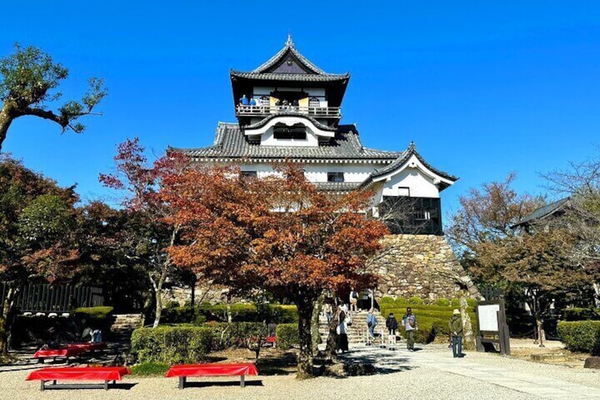 Private Inuyama Tour of National Treasure Castle and Tea Room