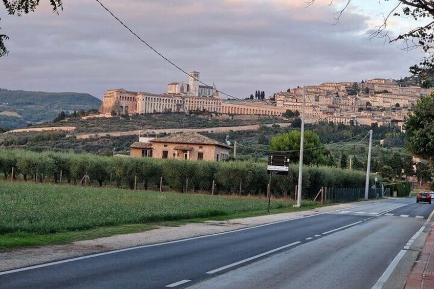 Panorama of the city of Assisi 