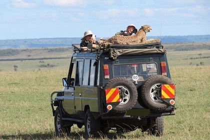 3 days Maasai Mara Group shared Adventure on 4x4 Land Cruiser