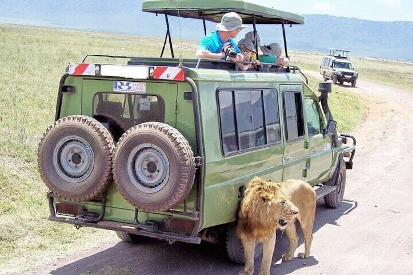 3 days Masai Mara Group shared Adventure on 4x4 Land Cruiser