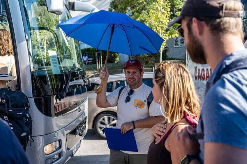 Krka Waterfalls Tour with Wine and Olive Oil Tasting