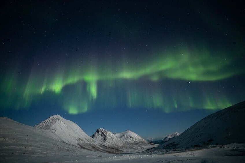 Northern Lights Chase by Bus in Tromso