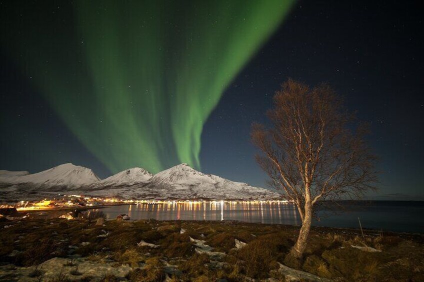 Northern Lights Chase by Bus in Tromso