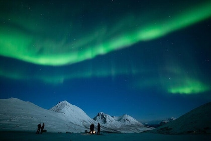 Northern Lights Chase by Bus in Tromso