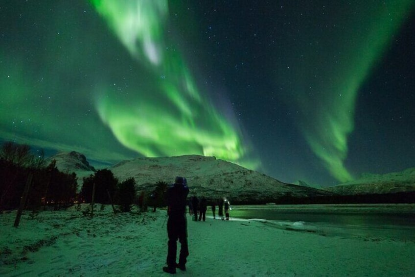 Northern Lights Chase by Bus in Tromso