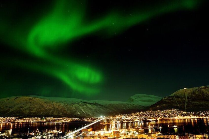 Northern Lights Chase by Bus in Tromso