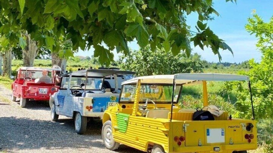 Discover La Provence, with a self driving vintage car.