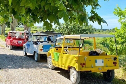 Discover La Provence, with a self driving vintage car.