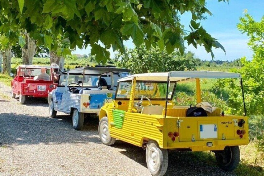 Discover La Provence, with a self driving vintage car.