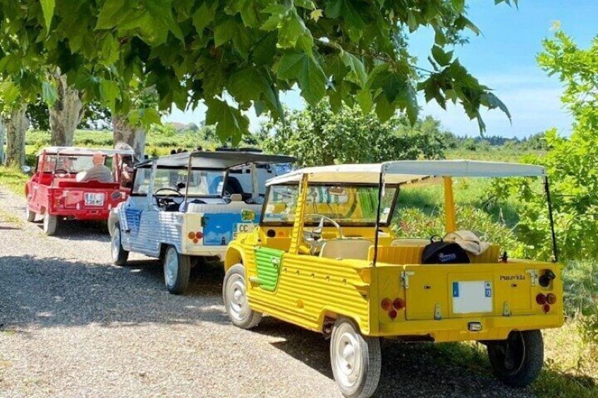 Discover La Provence, with a self driving vintage car.