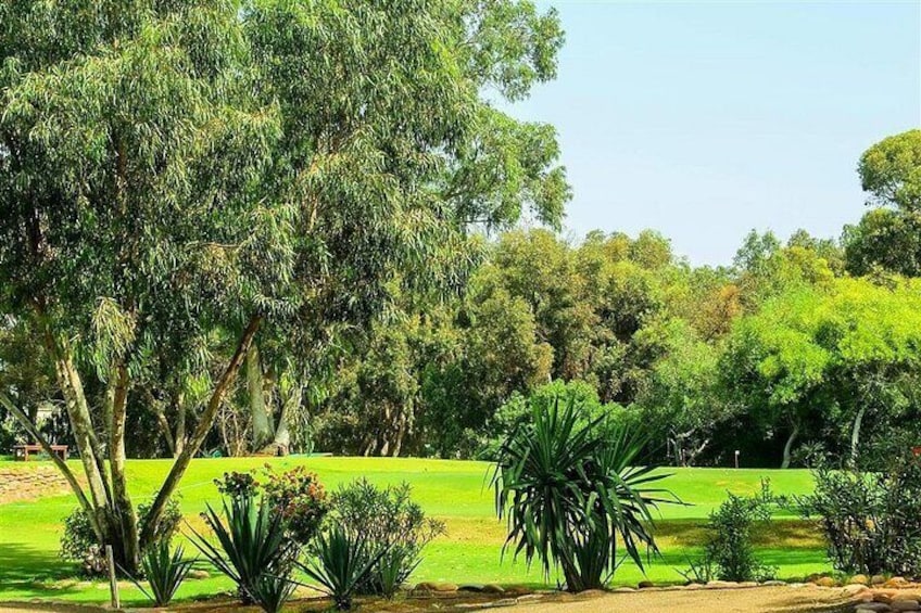 Agadir Golf Tour Visiting Route Oued Souss