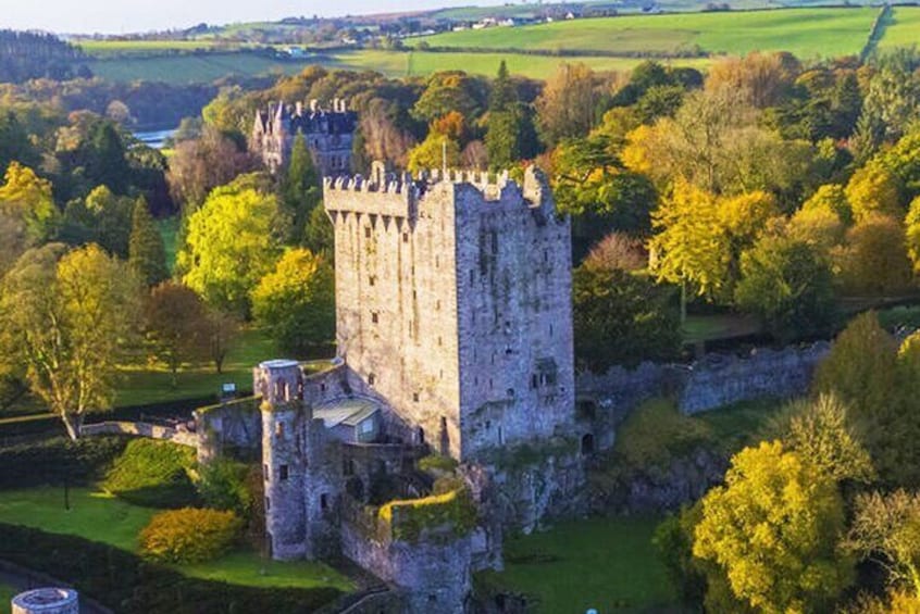 Kiss the legendary Blarney Stone atop Blarney Castle for 7 years of eloquent speech!