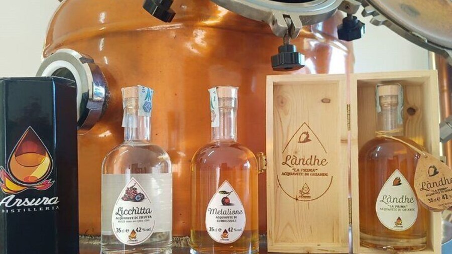 Tempio Pausania: Visit a Distillates Workshop with Tasting