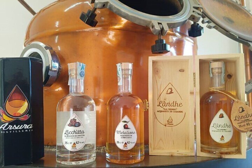 Tempio Pausania: Visit a Distillates Workshop with Tasting