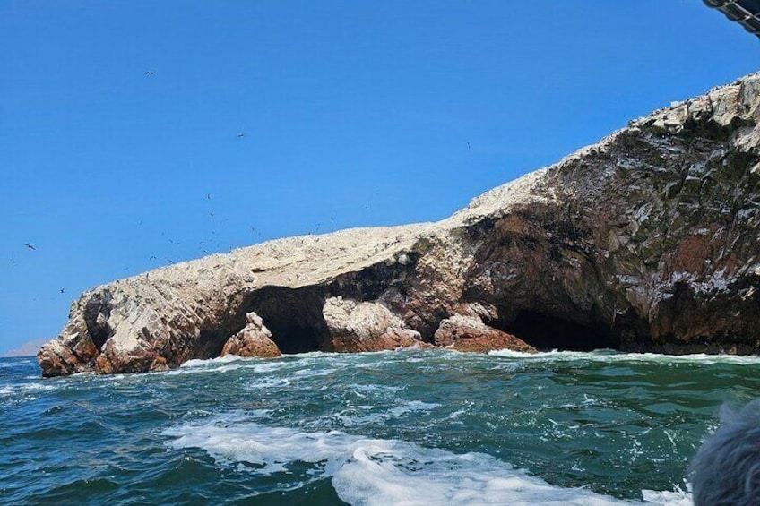 From Ica Islas Ballestas and Paracas National Reserve