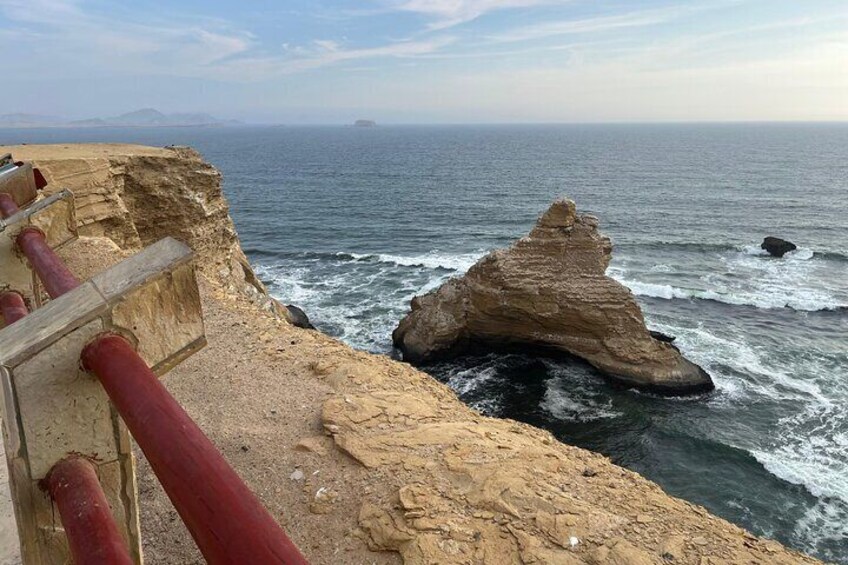 From Ica Islas Ballestas and Paracas National Reserve