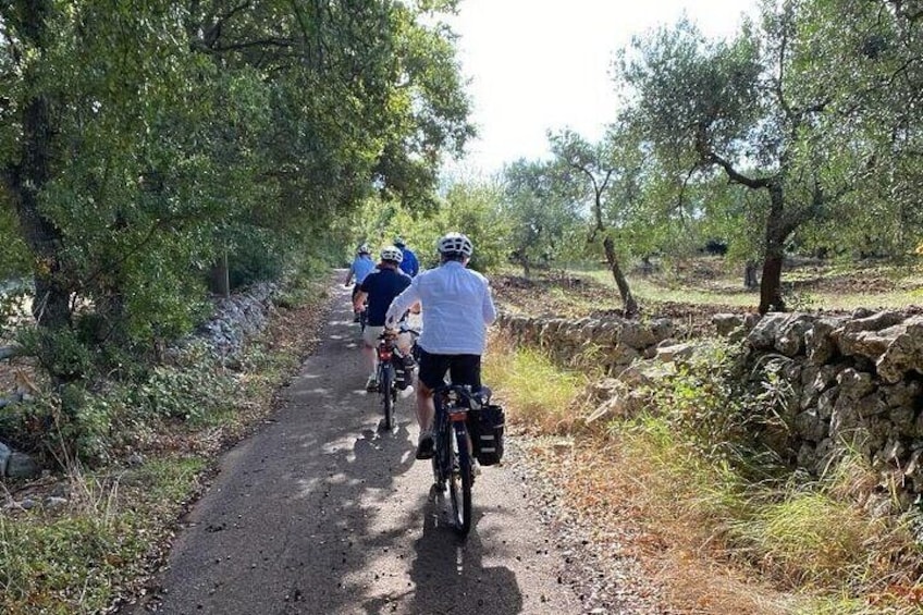  Itria Valley Puglia Shared E-Bike Tour Ride