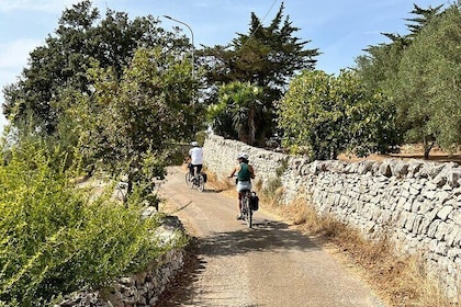 Itria Valley Puglia Shared E-Bike Tour Ride