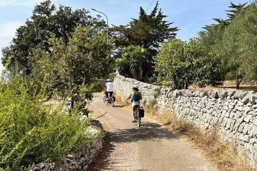  Itria Valley Puglia Shared E-Bike Tour Ride