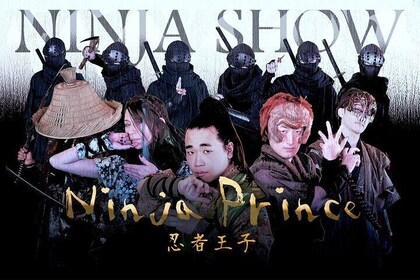 Ninja Show in Osaka's Namba