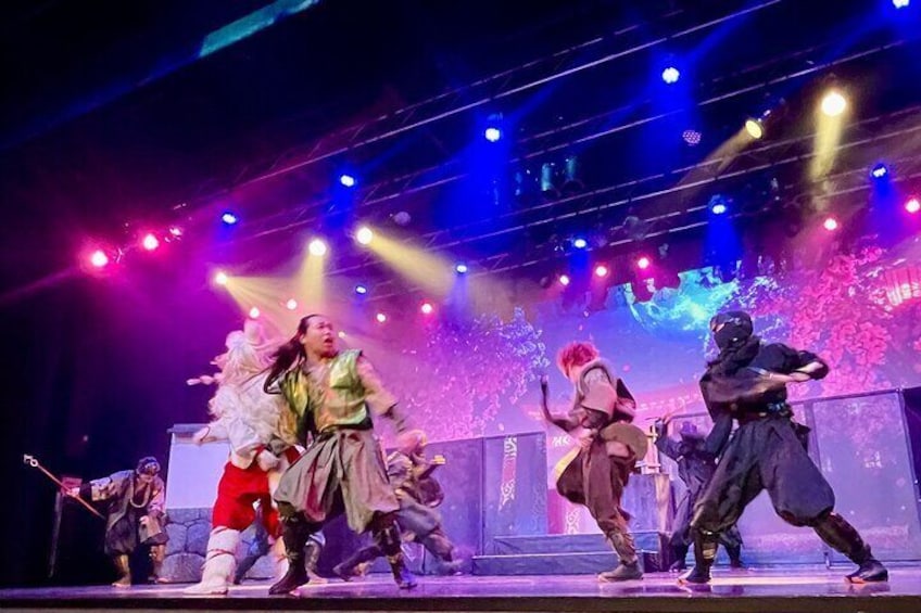 Ninja Show in Osaka's Namba