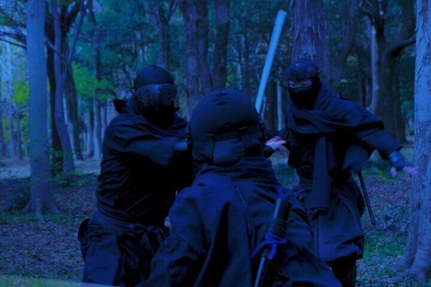 A battle unfolded by the ninjas.