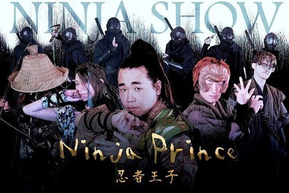 Ninja Show in Osaka's Namba