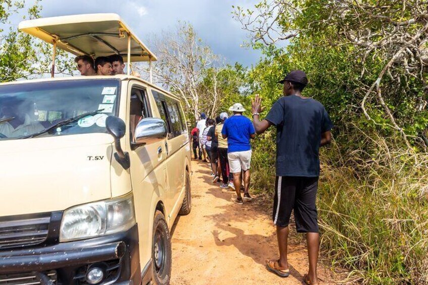 Shimba Hills Safari & Sheldrick Falls Hike - From Mombasa/Diani