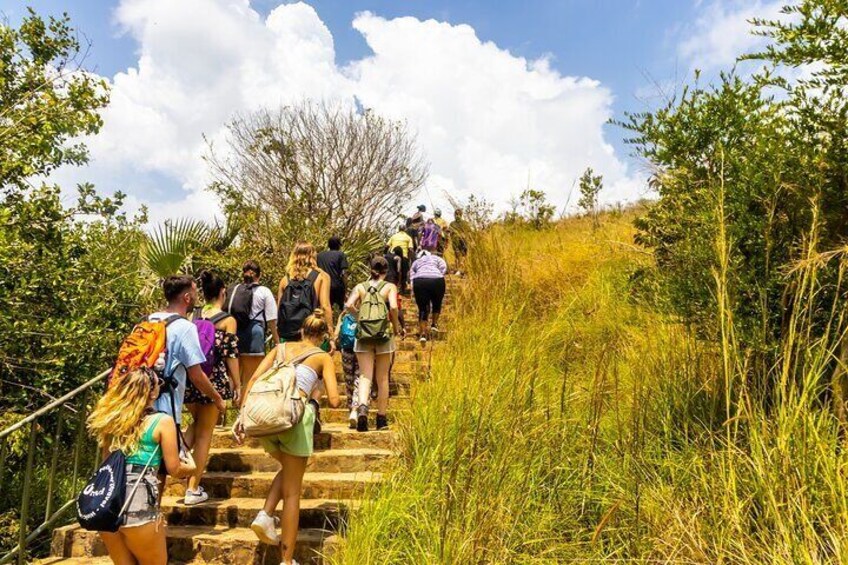 Shimba Hills Safari & Sheldrick Falls Hike - From Mombasa/Diani