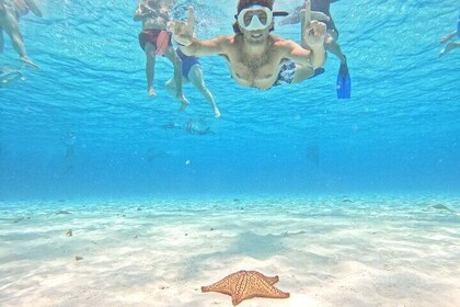 Cozumel-Tour ab Cancún