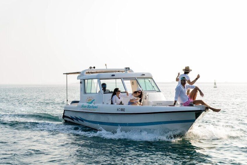 Island Hopping - An amazing 4- hours experience from Salt Island - Bahrani Island