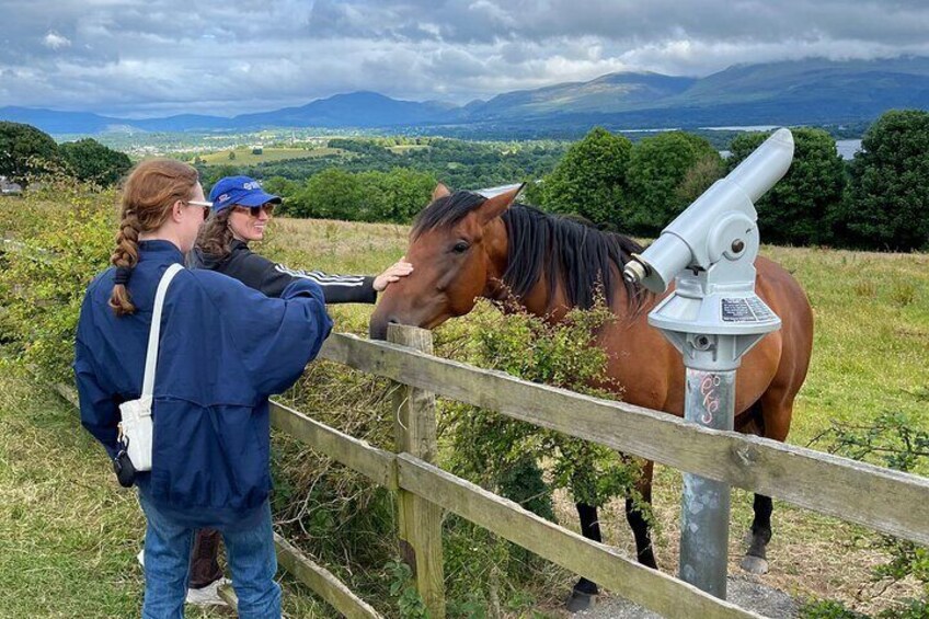 Aghadoe View