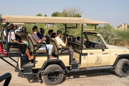 Sharjah Safari: A Wildlife Adventure Like No Other