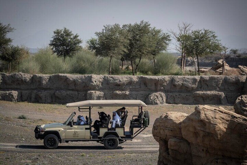 Enjoy a guided safari ride through diverse African-inspired terrains.
