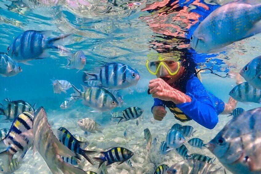 Nemo Island and Big Buddha Mountain Snorkeling from Bangkok 