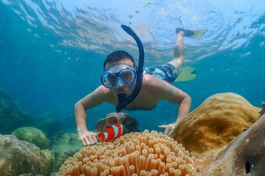 Nemo Island and Big Buddha Mountain Snorkeling from Bangkok 